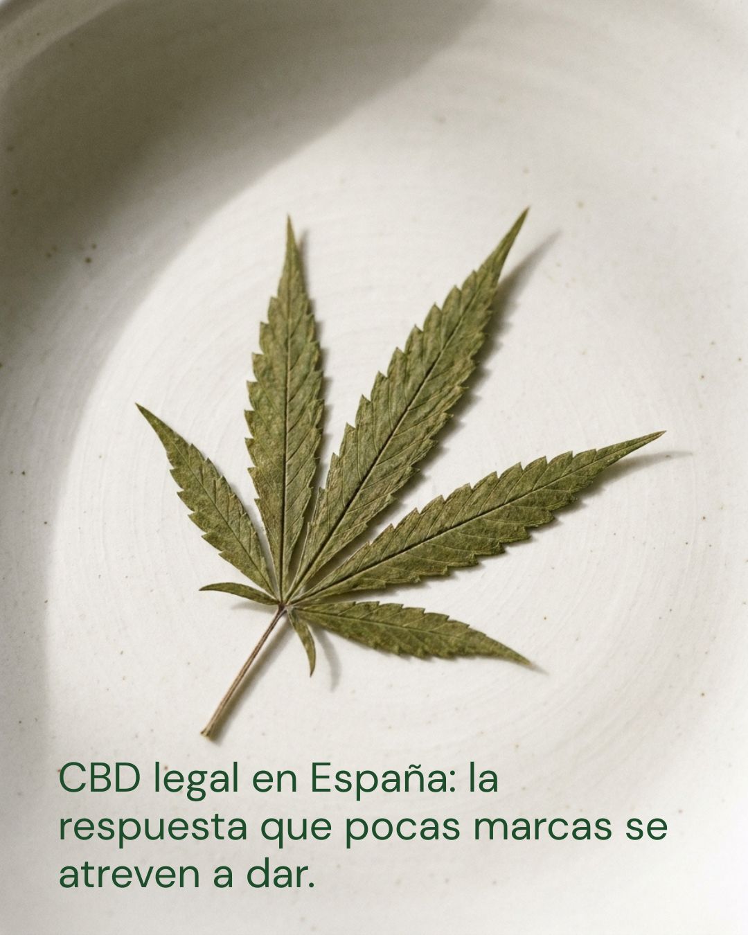 ¿El CBD es legal en España? La respuesta honesta que pocas marcas se atreven a dar