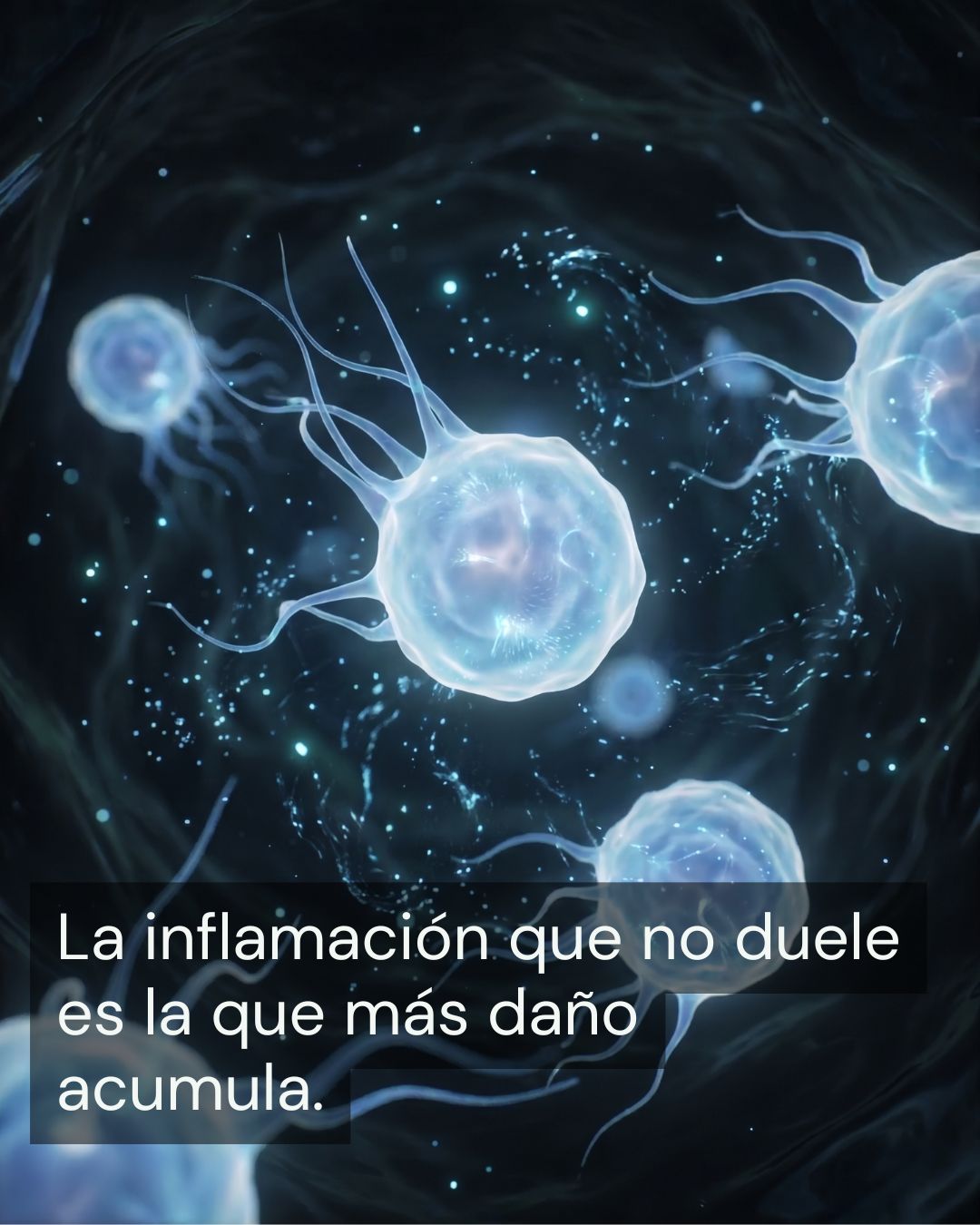 Inflamación crónica y CBD: lo que la ciencia está encontrando sobre un problema que afecta a millones