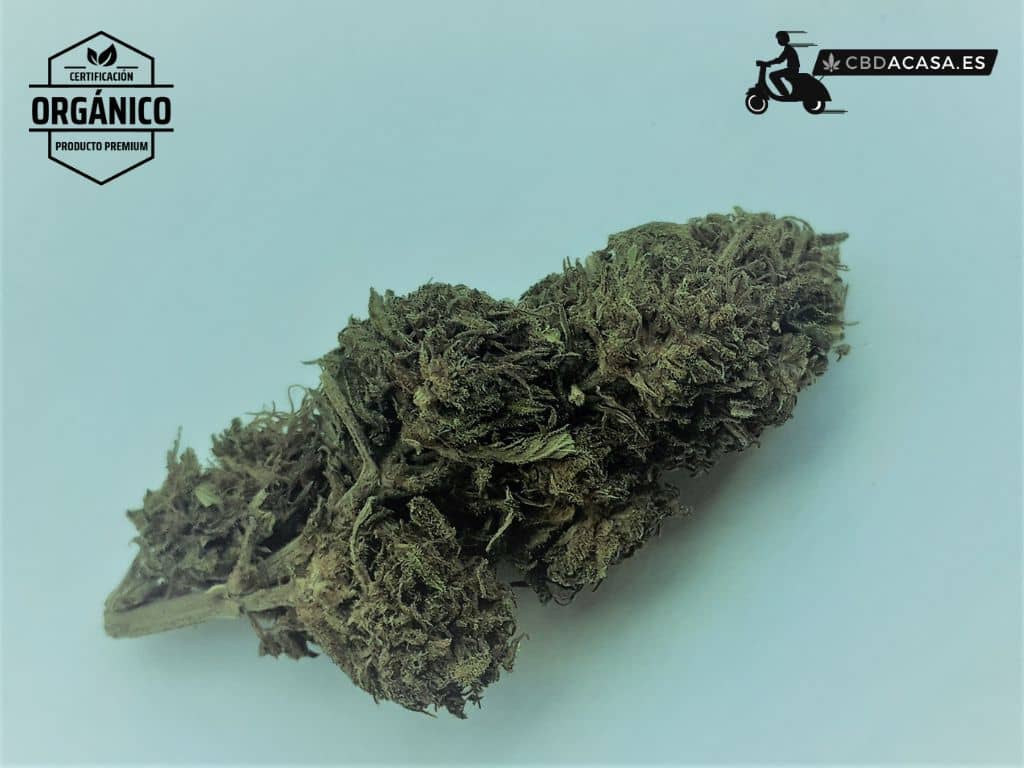 Flores de CBD Apple