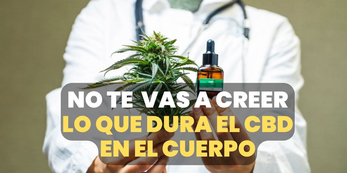 ¿Cuánto Tiempo Permanece el CBD en Tu Cuerpo? Una Mirada Científica