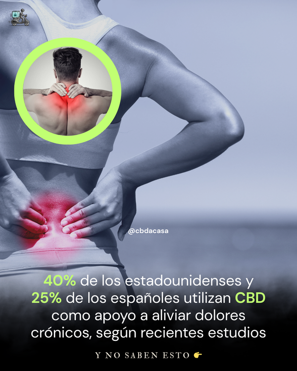 Guía Práctica: Cómo funciona el CBD en tu cuerpo y Tipos de producto