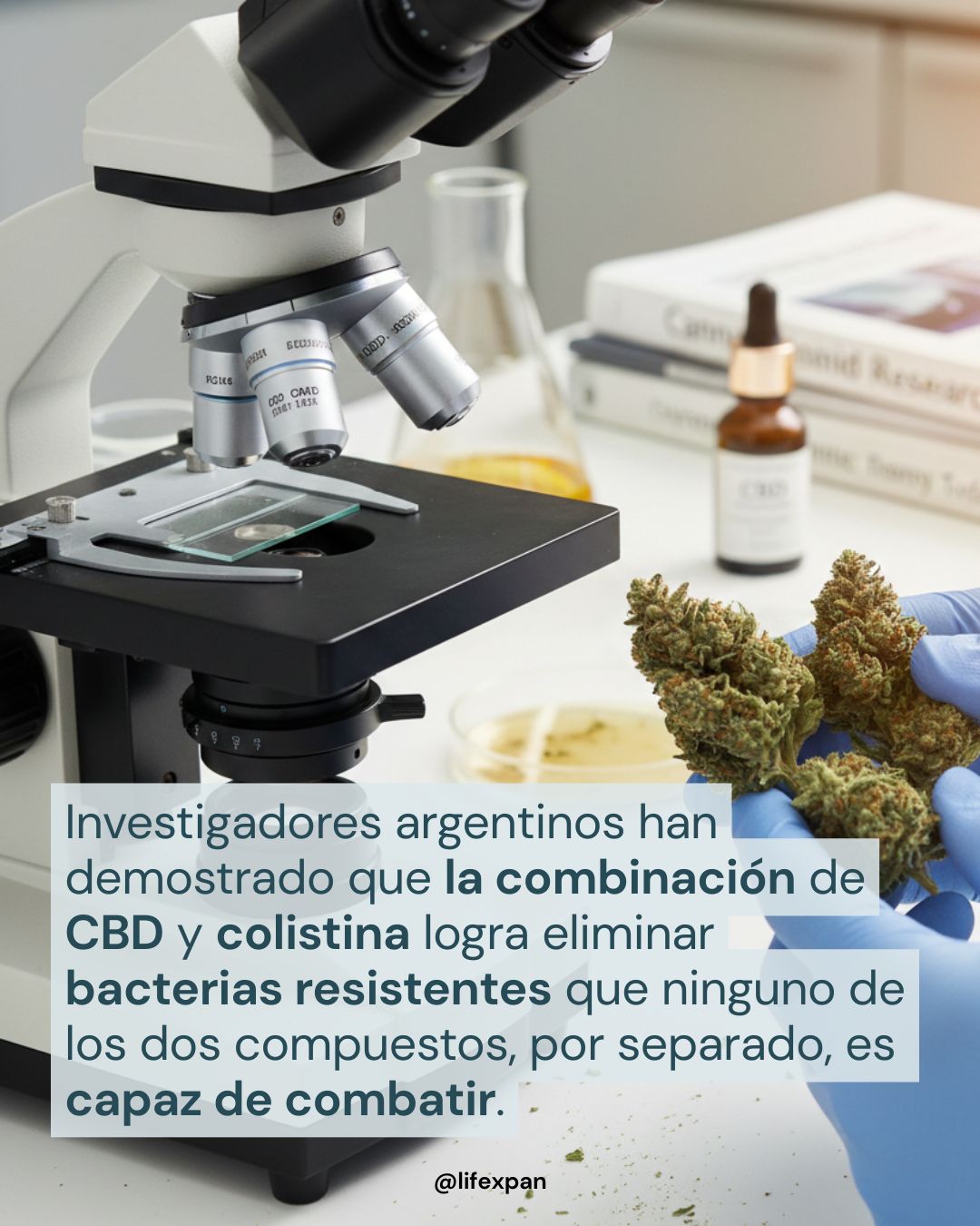 CBD y Colistina: La Nueva Alianza Científica Contra las Superbacterias