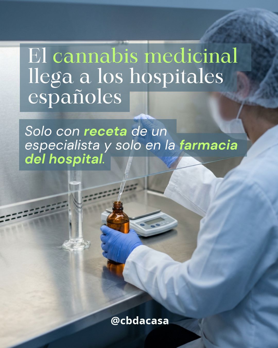 Cannabis medicinal en hospitales: qué cambia en España