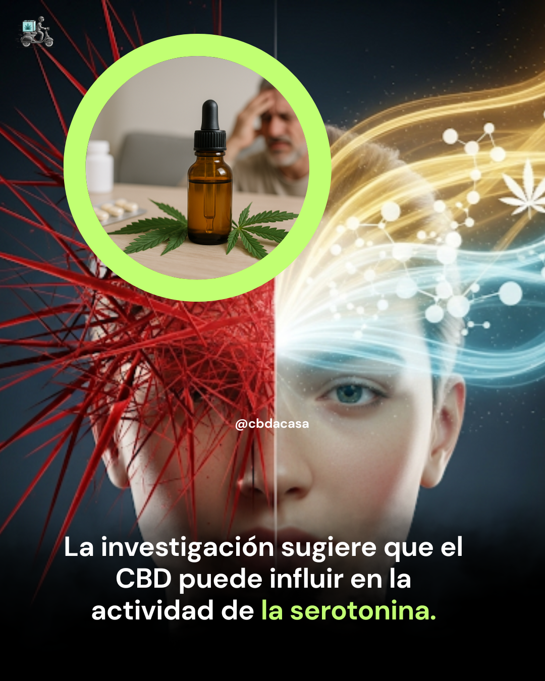 CBD para la Ansiedad y el Estrés: ¿Qué dicen los estudios?