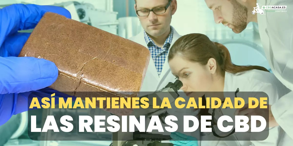 ¿Sabías que las resinas de CBD si no las conservas bien se degradan?