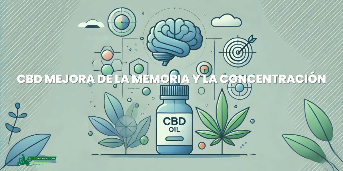 Mejora Tu Concentración con CBD: ¡Increíble!