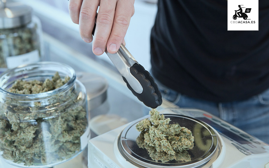 Autorización definitiva para la venta de flores CBD