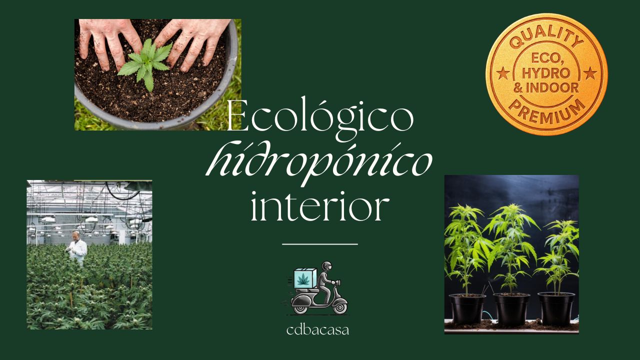 "Eco, hydro & Indoore" y PREMIUM