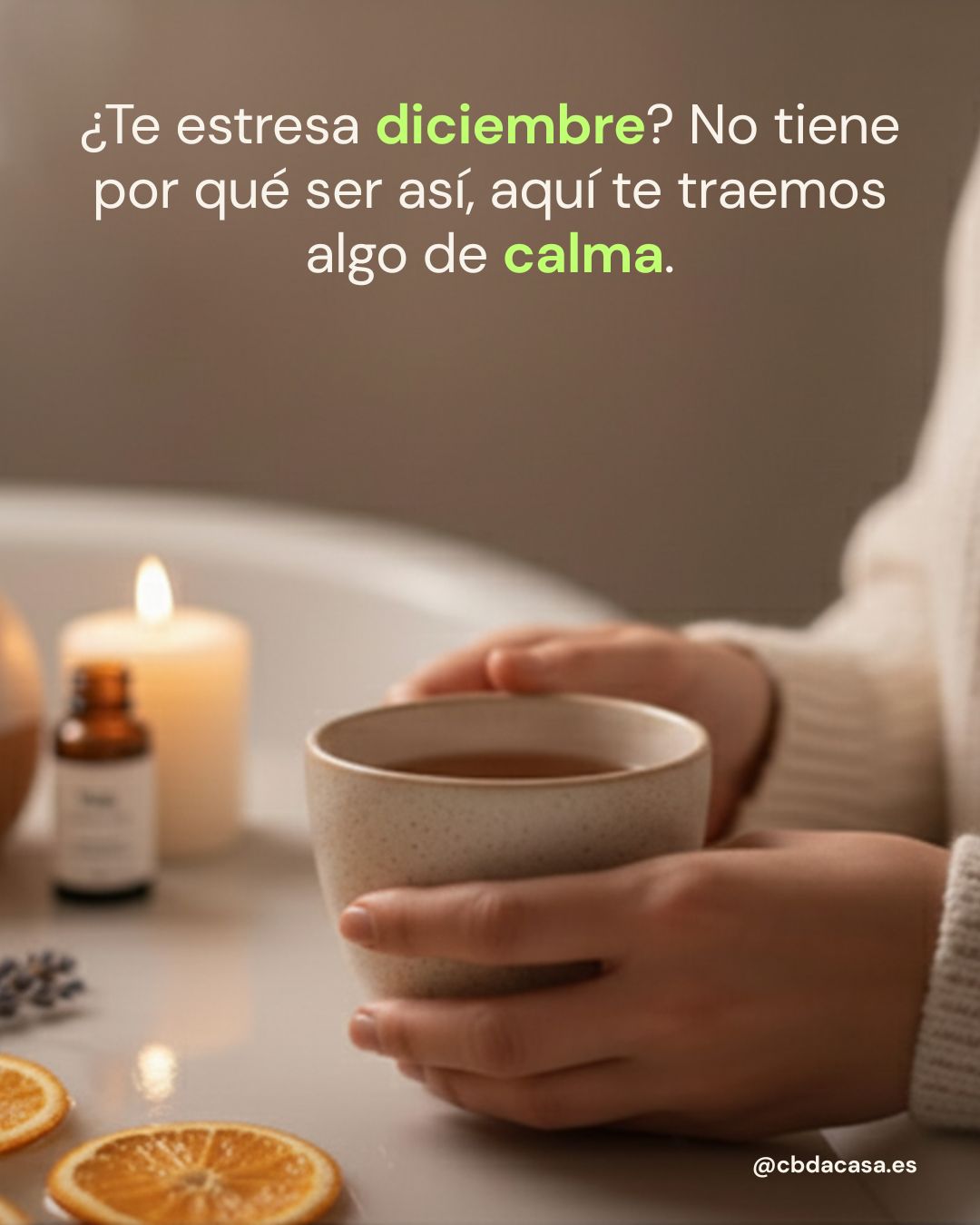 Diciembre puede ser un mes de calma: Tips + guía de regalos