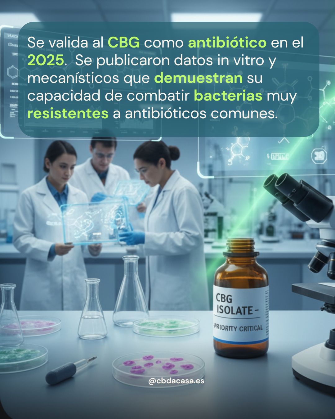 Se valida el CBG como un nuevo y potente antibiótico: Descubrimientos del 2025 Parte I
