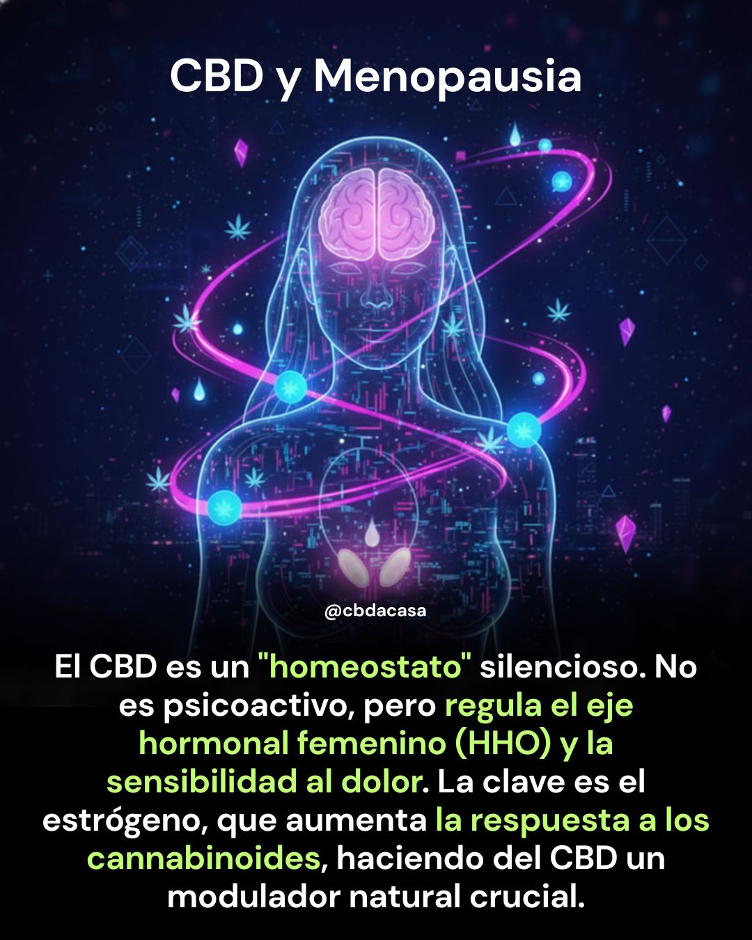 Todo lo que debes saber sobre la Menopausia y el CBD