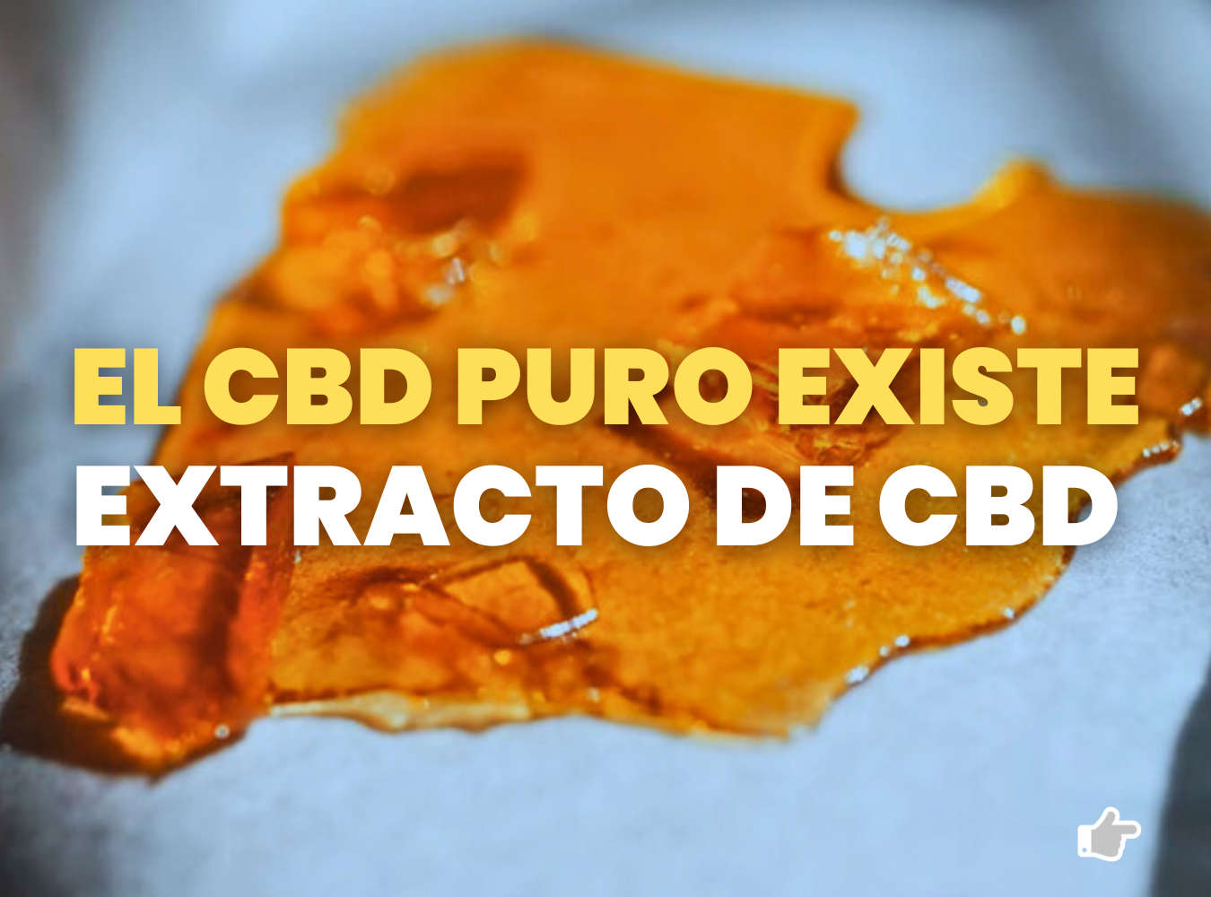 Shatter CBD, historia y descripción