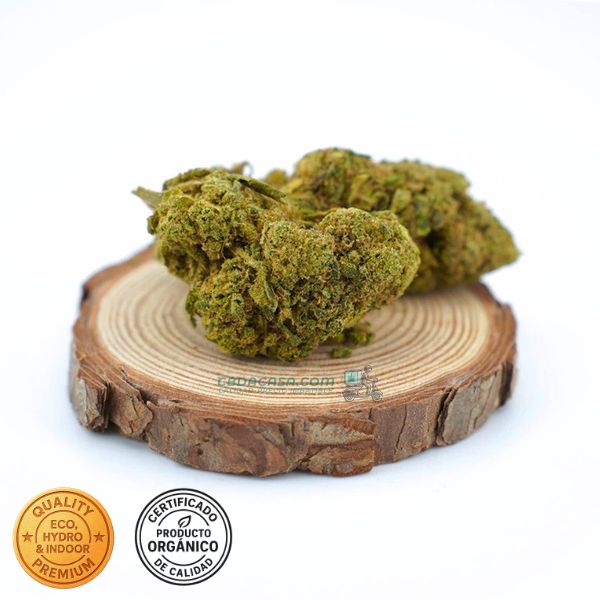 Flores de CBD Alien Cookies 100% ecológico