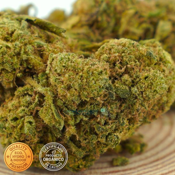 Flores de CBD Alien Cookies 100% ecológico