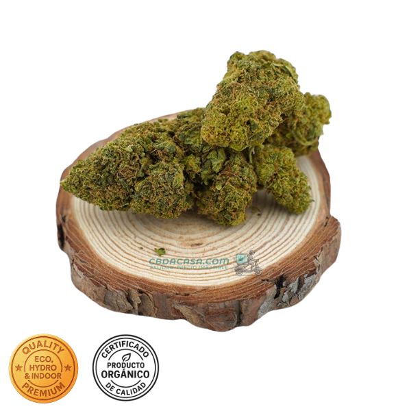 Flores de CBD Alien Cookies 100% ecológico