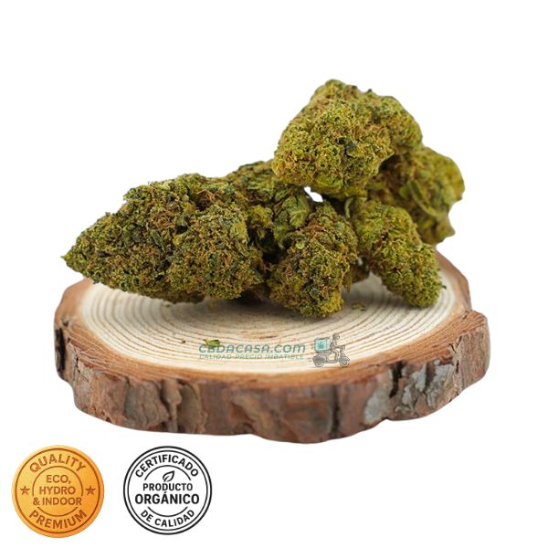 Flores de CBD Alien Cookies 100% ecológico