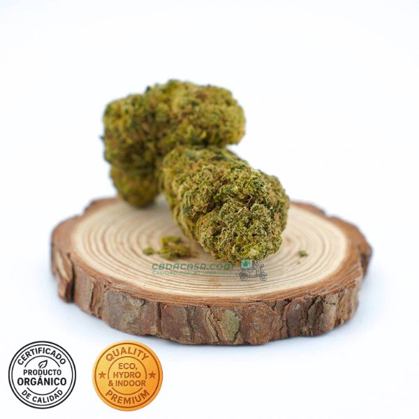 Flores de CBD Alien Cookies 100% ecológico