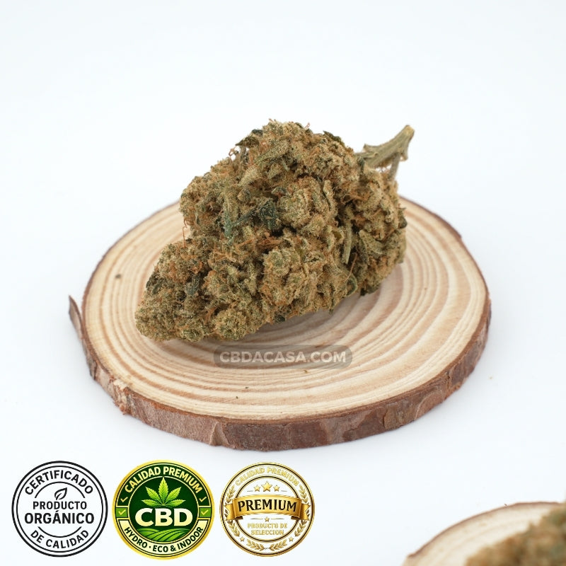 Amnesia Haze Hydro CBD – Premium hidropónica