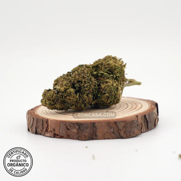 Flores CBD Bubba Kush - Cultivo Orgánico