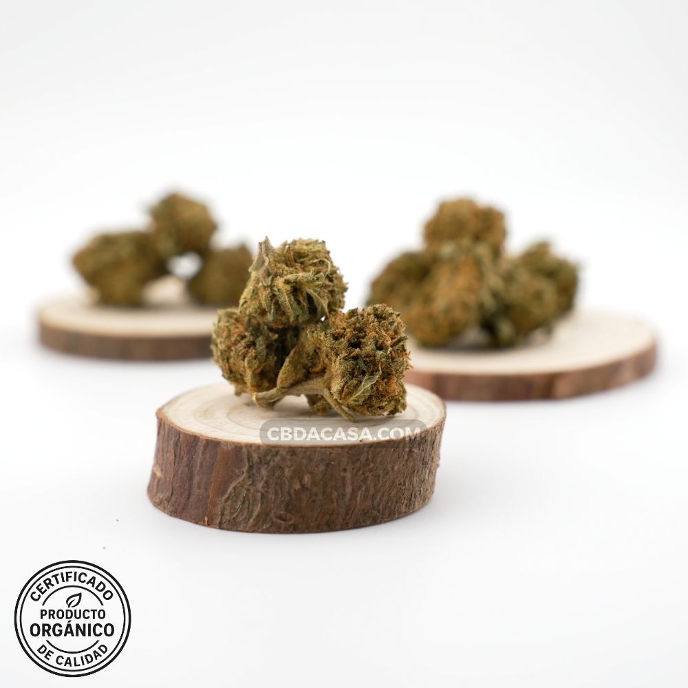 Flores de CBD Critical