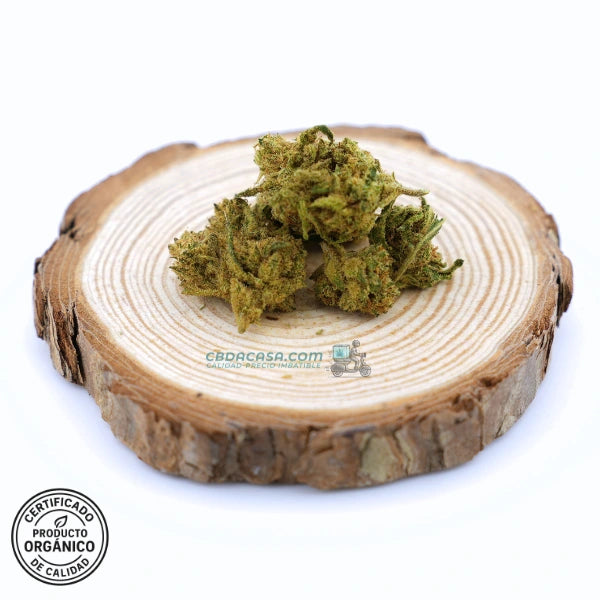Flores CBD 1 euro Chocolate Diesel