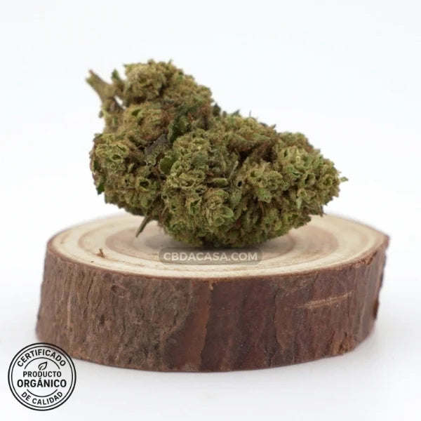 Sour Widow, flores CBD singulares con 13% de cannabidiol