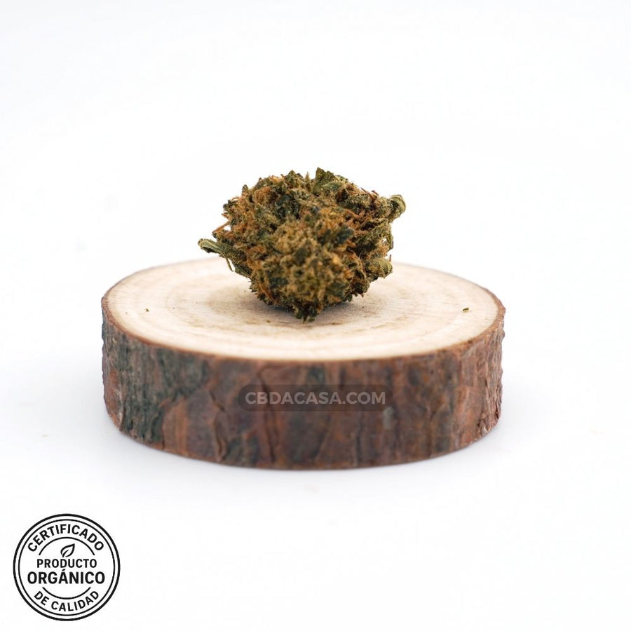 Flores CBD Wedding Cake Orgánica – Cultivo 100 % ecológico, legal