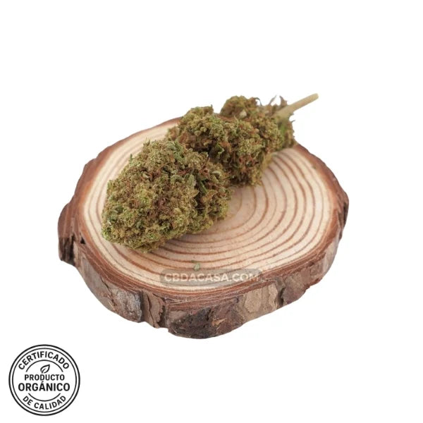 Flores de CBD Cherry Wine