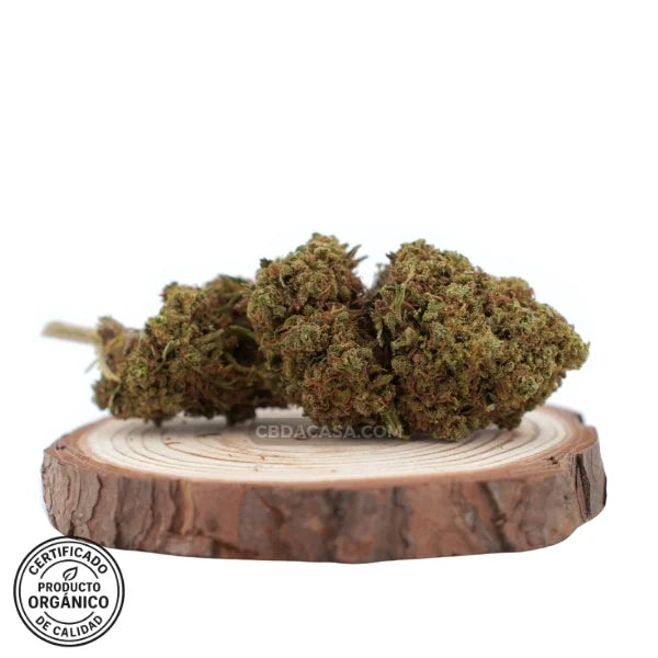 Flores de CBD Cherry Wine