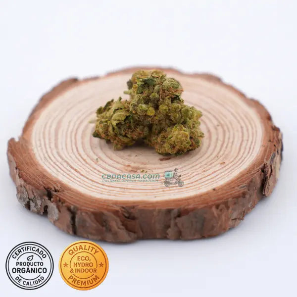 Comprar CBD Amnesia Haze Hydro