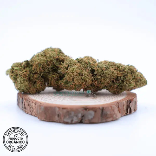 Flores CBD Candy Caramel