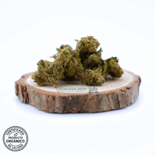Flores CBD 1 euro Chocolate Diesel