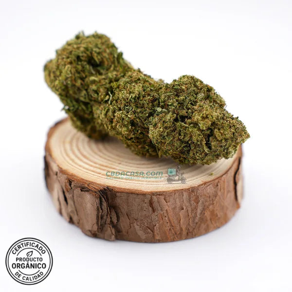 Flores CBD Bubba Kush - Cultivo Orgánico