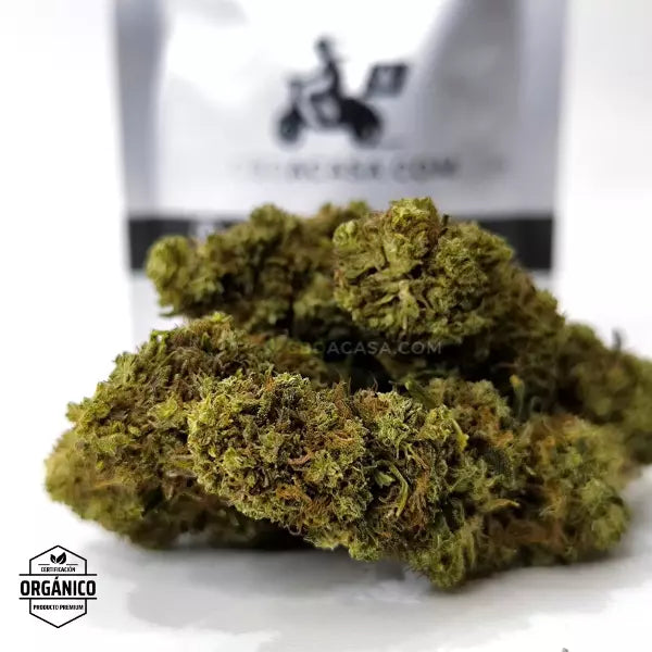 Flores CBD Pink Lady 100% ecológico desde 0,72 euro/gr