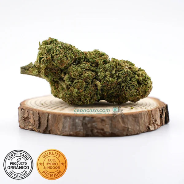 Runtz Muffin - flores CBD top