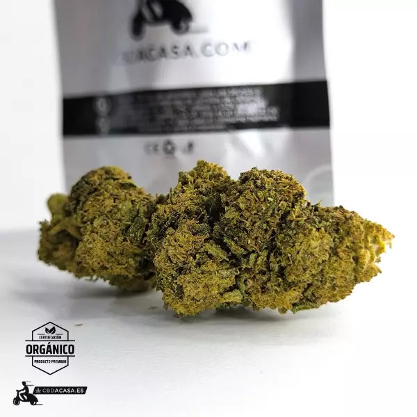 Comprar CBD White Widow - Impacto Visual