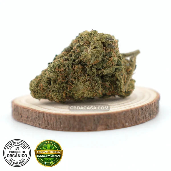 Flores de CBD hidropónico Biscotti
