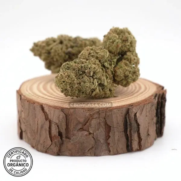 Oreo Cookies - CBD hidropónico