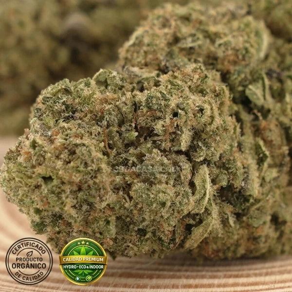 Oreo Cookies - CBD hidropónico