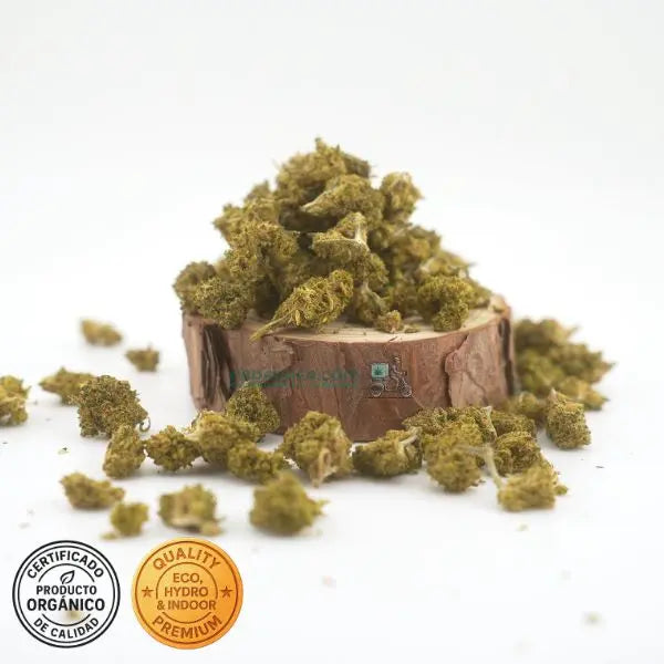 Orangello CBD Flower – Cultivo Indoor Hidropónico Orgánico | THC legal