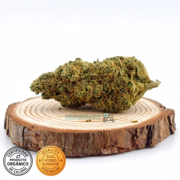 CBD indoor Marley Kush, flores excepcionales