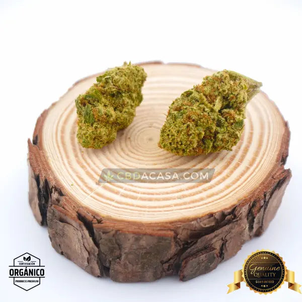 Flores CBD indoor Cheese Cake