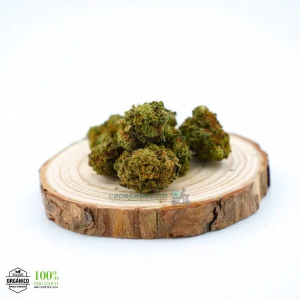 Comprar CBD White Widow - flores CBD leyendarias