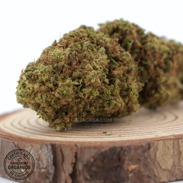 Flores de CBD Cherry Wine