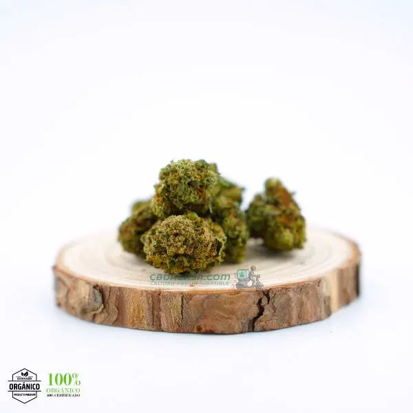 Comprar CBD White Widow - flores CBD leyendarias