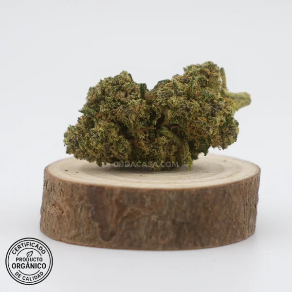 Flores de CBD Critical