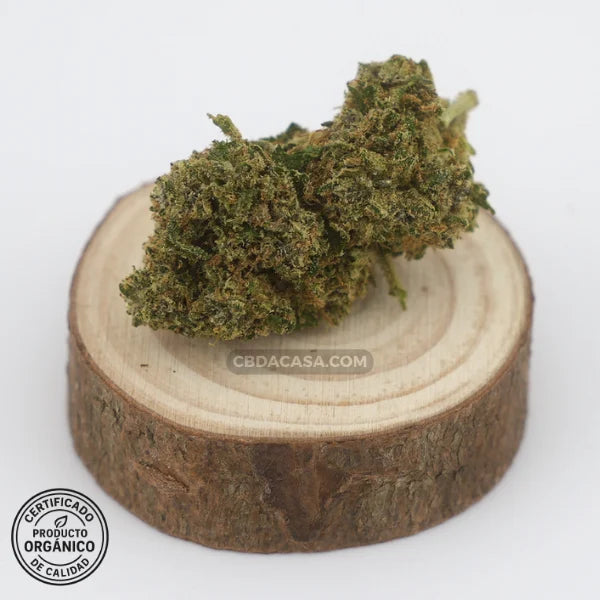 Flores de CBD Critical