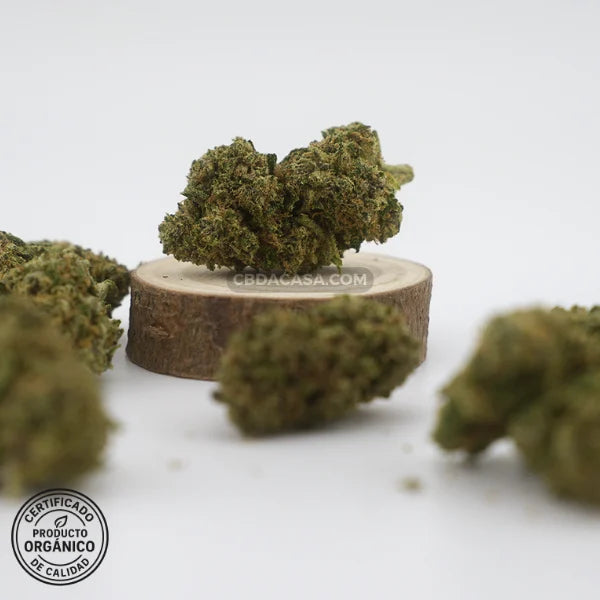 Flores de CBD Critical