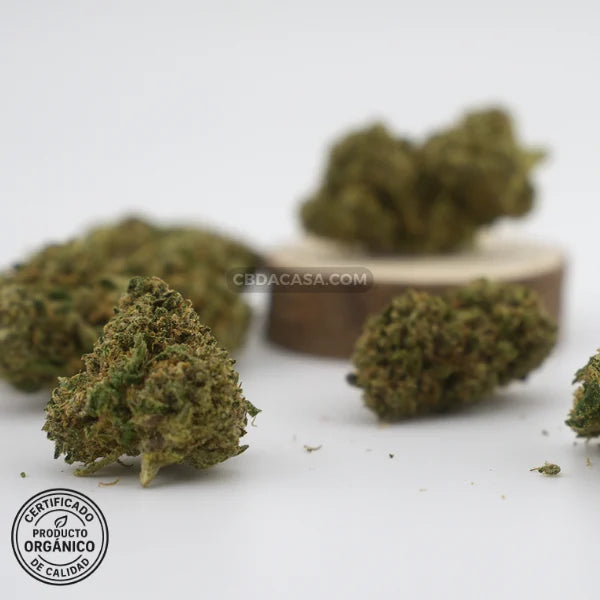 Flores de CBD Critical