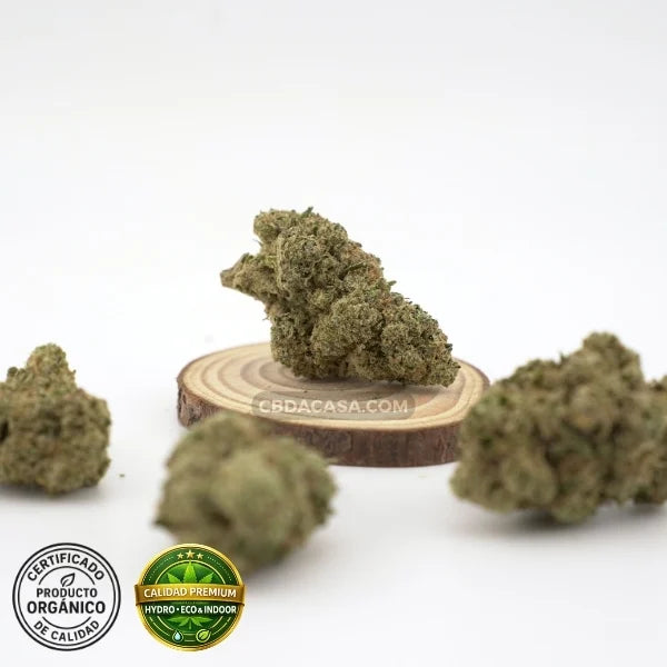 Flores CBG CBD hidroponico Platinum Cookies